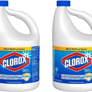 CLOROX REGULAR BLEACH