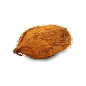 PUJA COCONUT