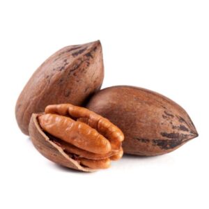 PECAN NUT