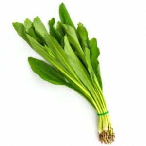 CULANTRO