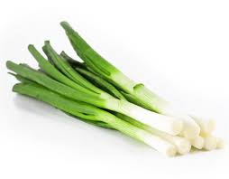 LEEK