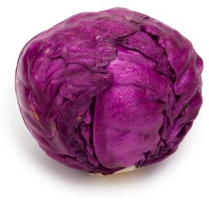 RED CABBAGE