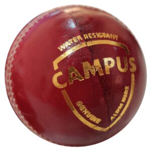 CRICKET BALL - SKU 4354