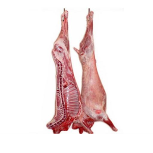 BABY GOAT CLEAN HALAL