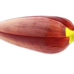 BANANA FLOWER