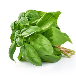 BASIL