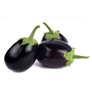 ROUND EGGPLANT - ROUND EGGPLANT LB
