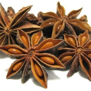 ANISE
