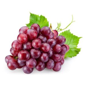 GLOBE RED GRAPES