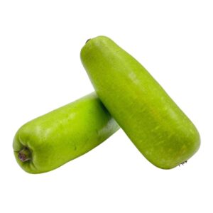 REG LONG SQUASH - SKU 16755