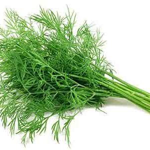 DILL