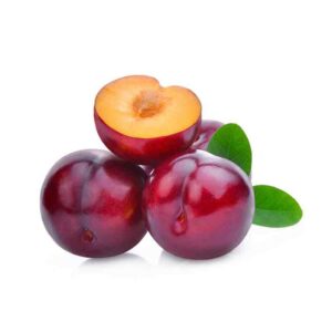 RED PLUM