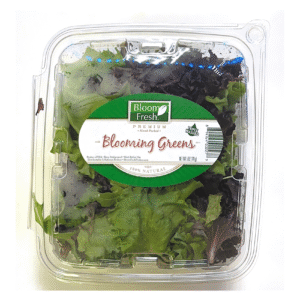 BLOOM FRESH BLOOMING GREEN
