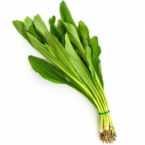 KULANTRO