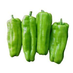 HOLLAND PEPPER