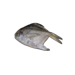 NIRU FROZEN MACKERAL CLEANED