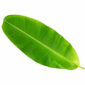 LAFE BANANA LEAVES- 420218