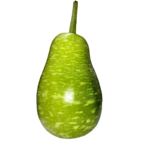 BENGALI SQUASH - F5001