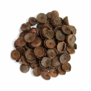 POOJA NUTS COIN