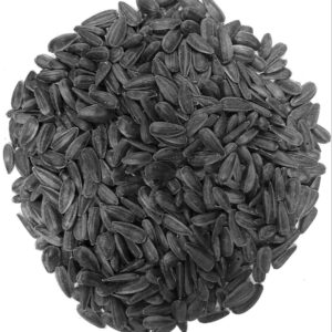 MAHARAJA BLACK RAISIN