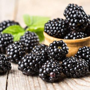 BLACK BERRIES