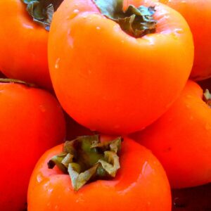 PERSIMMON