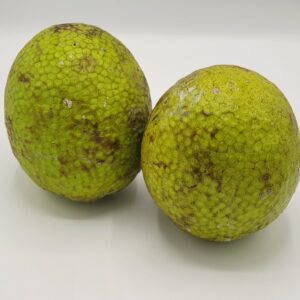 BREAD FRUIT - BREAD FRUIT 28-30 LB