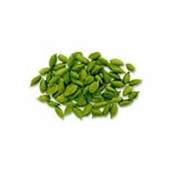 THREE RIVERS GREEN CARDAMOM