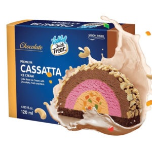 VADILAL CASSATA  ICECREAM SMALL - 8901777971970