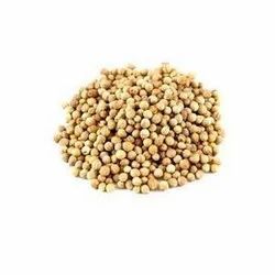 MAHARAJA CORIANDER SEED - 90104