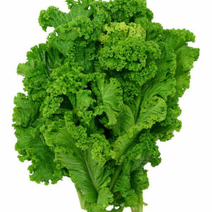 CURLY MUSTARD GREEN