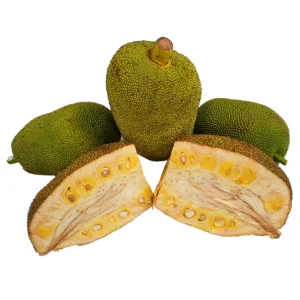 CUT JACK FRUIT