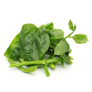 POI LEAVES - POI LEAVES 20 LB