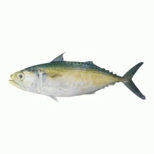 NIRU FROZEN MACKERAL WHOLE
