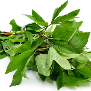 GONGURA LEAVES - GONGURA LEAVES - -10 LB
