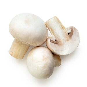 MUSHROOM