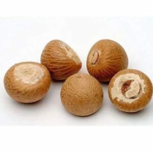 POOJA NUTS SALI THIN - 48251