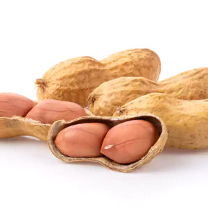 PEANUT