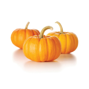 YELLOW PUMPKIN