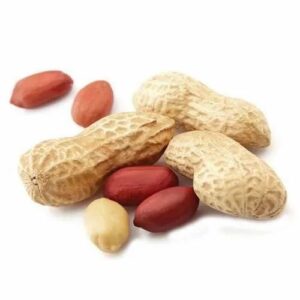 DEER RAW PEANUT - CAS RP1N
