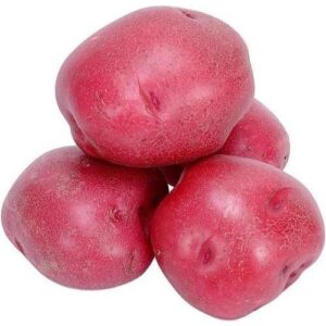 RED POTATO