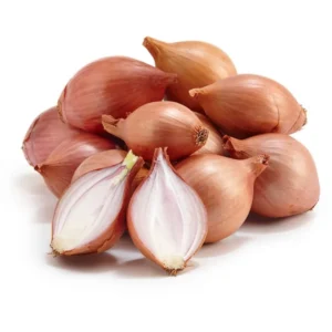 SHALLOT ONION