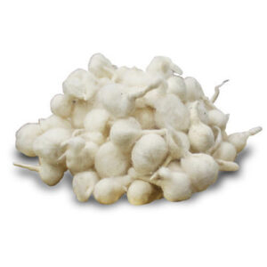 COTTON WICKS ROUND
